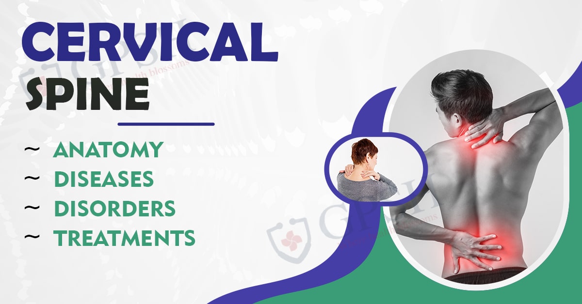 Cervical Spine: Anatomy, Diseases, Disorders and Treatments