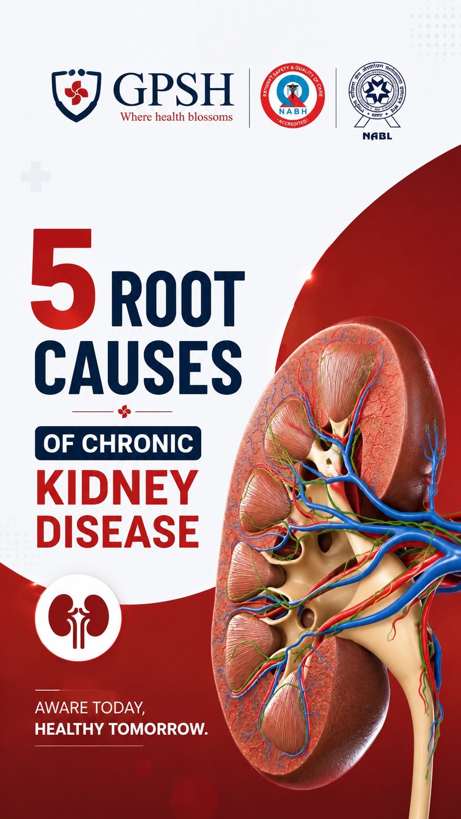 5 Root Causes of Chronic Kidney Disease